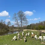 Gospodarstwo agroturystyczne Stajnia Kaliska *