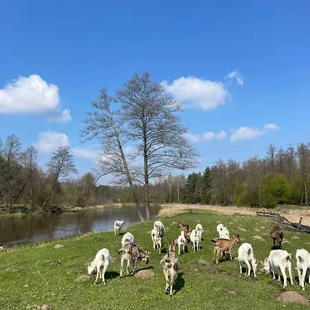 팜스테이 Stajnia Kaliska *