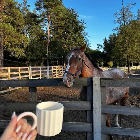 Stajnia Kaliska Łochów