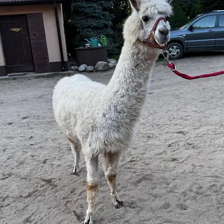 Stajnia Kaliska Bauernhof *