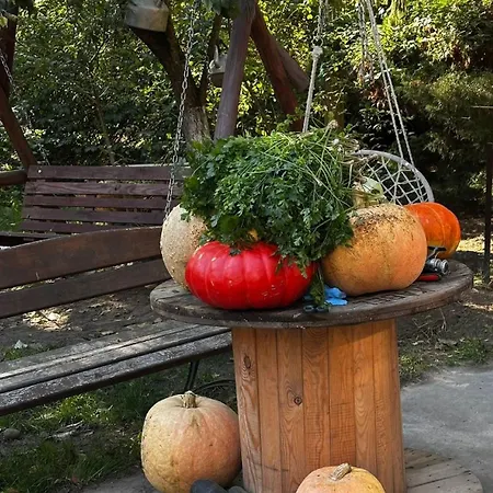 Stajnia Kaliska Łochów