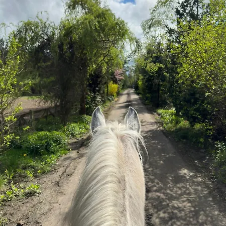 Stajnia Kaliska * Łochów