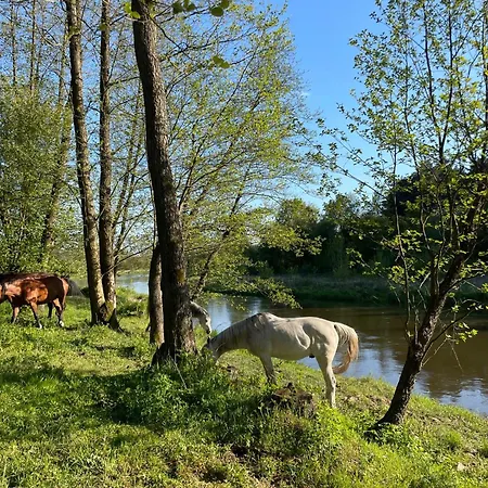 Stajnia Kaliska Łochów