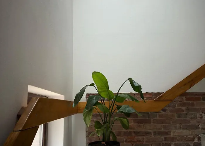 Stajnia Kaliska Alojamento de Turismo Rural Łochów