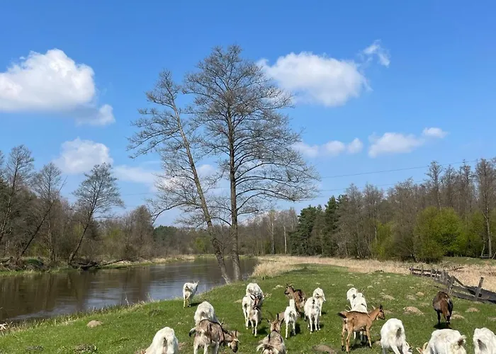 Alojamento de Turismo Rural Stajnia Kaliska *