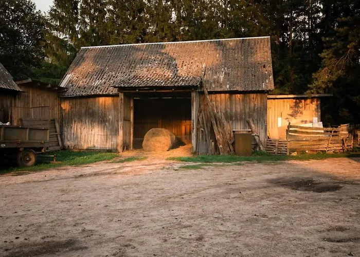 Alojamento de Turismo Rural Stajnia Kaliska Łochów
