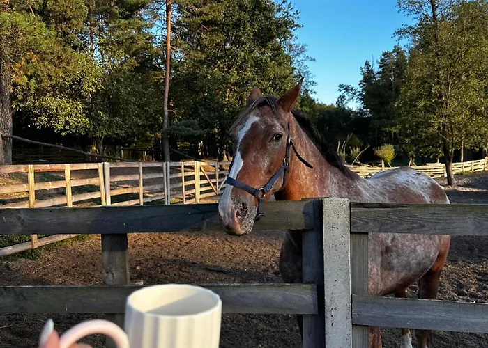 Stajnia Kaliska Łochów