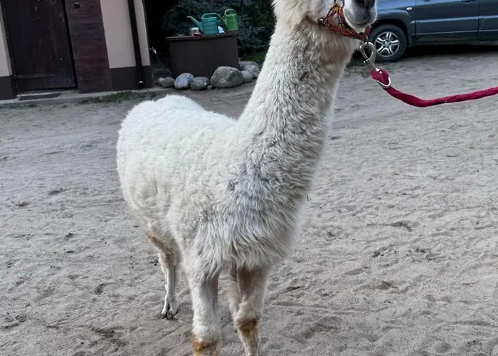 Stajnia Kaliska Alojamento de Turismo Rural *