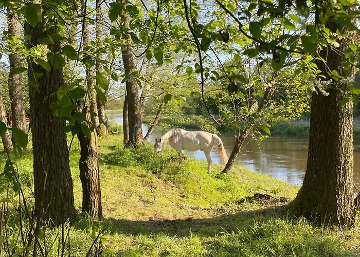 Stajnia Kaliska Gospodarstwo agroturystyczne Łochów