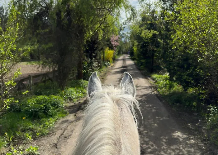 Stajnia Kaliska * Łochów