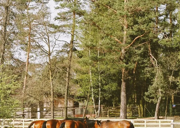 Alojamento de Turismo Rural Stajnia Kaliska