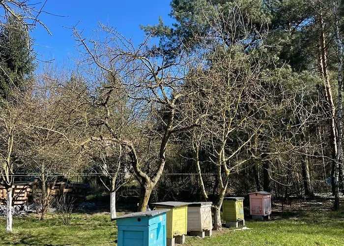 Stajnia Kaliska Alojamento de Turismo Rural Łochów