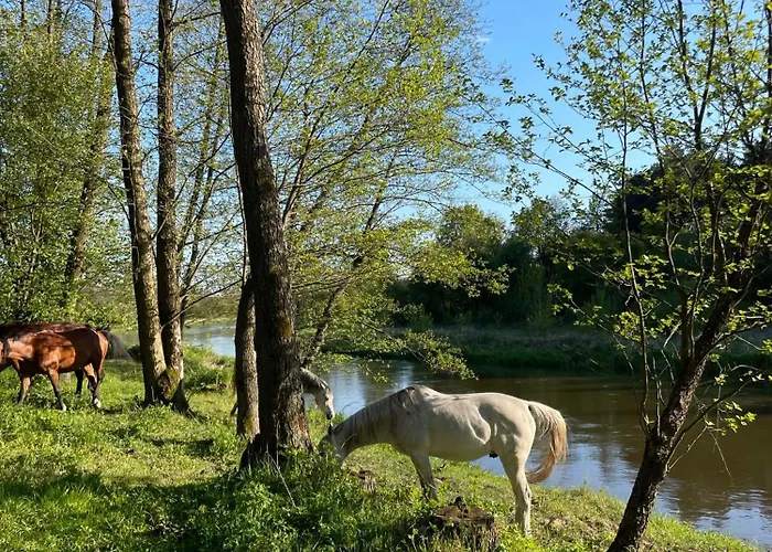 Stajnia Kaliska Łochów